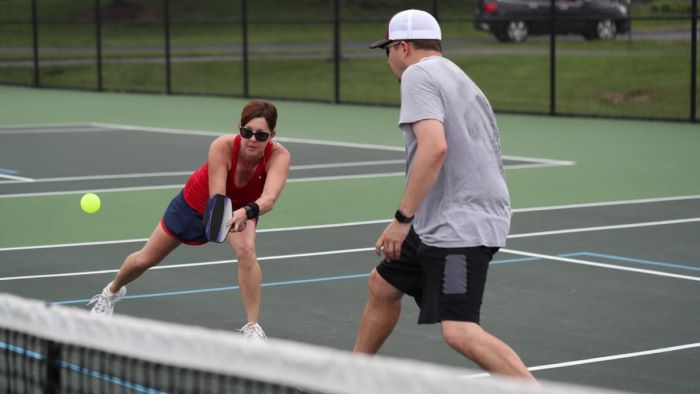 what is a dink shot in pickleball