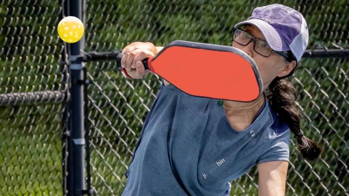 Volley in Pickleball