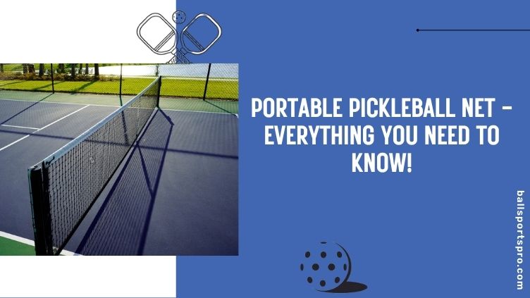portable pickleball net