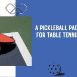 pickleball paddle for table tennis players